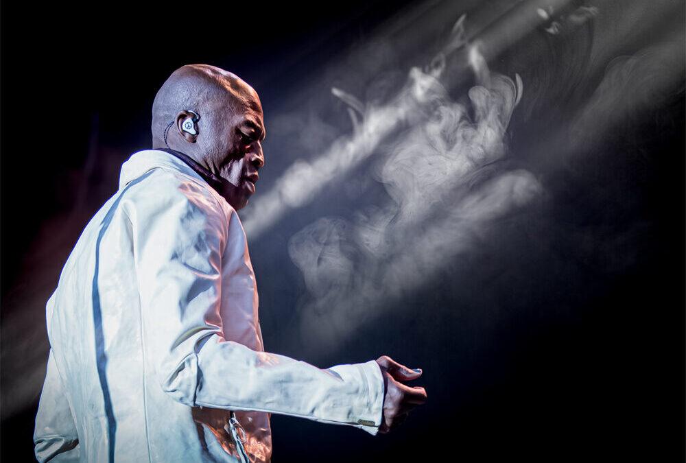 Seal i Tivoli Friheden 2023