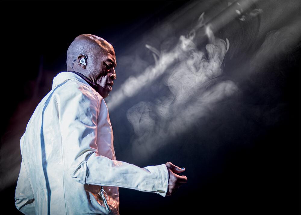 Seal i Tivoli Friheden 2023