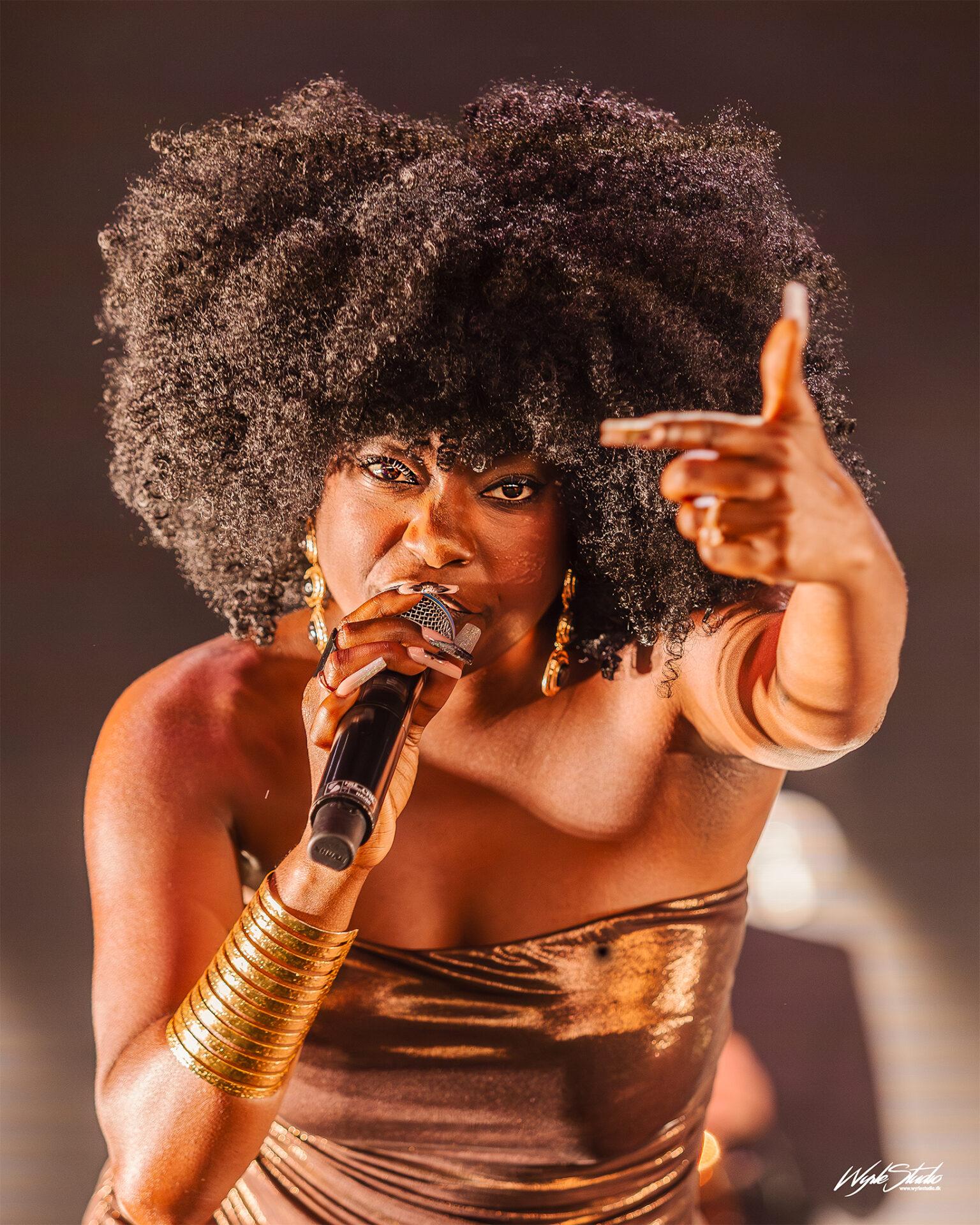 Cirkus direktør Circus Tornment